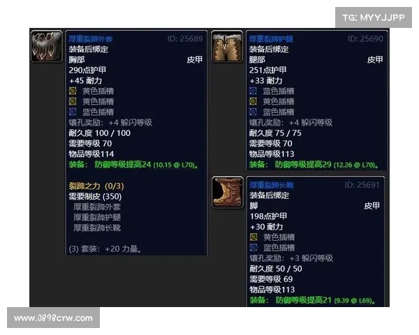 魔兽世界制皮：打造装备的制作艺术